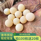 2024年頭窩甲魚蛋新鮮食用寶寶輔食農(nóng)家原生態(tài)新鮮農(nóng)場(chǎng)直供高蛋白 3g 1人份 甲魚蛋100枚裝（送二十枚防破損）