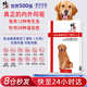 廣普驅蟲(chóng)藥犬體內外一體同驅腸蟲(chóng)全清寵物用品狗狗小狗驅蟲(chóng)體內大型犬泰迪狗滴劑派安特跳蚤藥殺蜱蟲(chóng)專(zhuān)用 吡蟲(chóng)啉莫昔克丁滴劑犬用-0.4ml 田園犬金毛打蟲(chóng)藥除跳蚤除虱子螨蟲(chóng)殺蟲(chóng)劑蜱蟲(chóng)