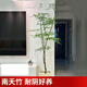 蘭桑南天竹盆栽土培樹苗真樹水培綠植老樁客廳盆景造型水養(yǎng)帶根火焰紅 南天竹1.2米高以上4-5分叉 不含盆