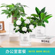 花翁花卉盆栽綠植水培【辦公套餐】發(fā)財樹(shù)+梔子花+金鉆源頭直發(fā)