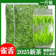 春馥堂雀舌綠茶2025新茶顆顆嫩芽明前特級(jí)湄潭毛尖高山茶清香型正品好茶 【甄選款】顆顆肥嫩飽滿全芽芯 500g