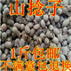 仁心食匠山捻子果桃金娘山棯子果山菍子果豆稔崗稔仔新貨干貨泡酒500g克