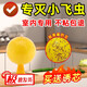 COODORA果蠅小飛蟲(chóng)誘捕器室內(nèi)外家用粘蟲(chóng)球滅蟲(chóng)神器5個(gè)球+底座+雙面膠