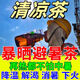 夏季解暑清涼茶暑氣適合夏天喝的涼茶包工地戶外高溫運(yùn)動(dòng)防暑降溫 【三伏天也不中暑】1盒/30包