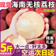 庫(kù)瑞海南無(wú)核荔枝【JD/順豐閃送】王無(wú)籽新鮮荔枝水果送禮盒裝 3斤嘗鮮裝凈果2.5斤