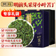 貢苑2025新茶9A級(jí)頭采嫩米芽小葉苦丁茶【250g共2罐】四川峨眉山茶葉