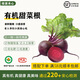 綠源禾心有機(jī)甜菜根新鮮現(xiàn)挖紅甜菜頭即食榨汁食療自然成熟健康無農(nóng)殘蔬菜 五斤