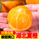 果果牛秭歸湖北夏橙 當(dāng)季新鮮水果手剝酸甜橙子高山冰糖臍血多汁 可選 9斤 60mm以下(實(shí)惠)