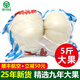 沛盛九年生蘭州百合新鮮甘肅蘭州鮮百合特產(chǎn)食用甜百合真空包裝順豐 精選大兩頭皇 5斤12-13袋
