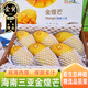 橙小士海南三亞金煌芒新鮮水果水仙大芒果當季時(shí)令禮盒整箱 5斤大果【個(gè)大味美】品質(zhì)升級