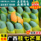 廣西百色田東桂七芒果9斤新鮮熱帶水果青皮桂7香芒當(dāng)季現(xiàn)摘整箱 9斤 特大果【單果250g+】