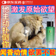 春鶯（Joriole）進(jìn)口費(fèi)洛蒙香水男士荷爾蒙性刺激香水女性誘調(diào)情香惑聞香心動(dòng)淡香