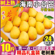 栩季海南小臺農(nóng)芒果新鮮現(xiàn)摘小臺芒應(yīng)季熱帶水果禮盒 3斤【爆甜嘗鮮】