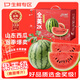 SMVP山東8424麒麟西瓜【多地次日達(dá)】爆甜多汁西瓜口感中秋節(jié)禮物 2k小西瓜|紅瓤冰糖西瓜 【手挑好果-超值精選】3-4斤