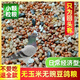 新鴿子糧20斤無玉米鴿糧有玉米鴿子糧食鴿子飼料賽信鴿成幼鴿5斤 無玉米無豌豆鴿糧 20斤
