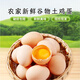 林艙50g±5g大雞蛋 新鮮現撿鮮雞蛋 笨雞蛋柴雞蛋優(yōu)質(zhì)蛋白 20枚