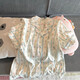 俞兆林睡衣女春秋款冬季云朵棉卡通長袖開衫高級感甜美家居服兩件套裝