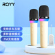 Royy高音質(zhì)車(chē)載k歌麥克風(fēng)支持FM連接汽車(chē)無(wú)線(xiàn)車(chē)載移動(dòng)KTV唱歌話(huà)筒 米色雙麥