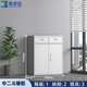 譽(yù)卓遠文件柜辦公柜鋼制鐵皮柜資料柜  中二斗矮柜-0.4