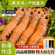 森農(nóng)樂海鰲蝦刺身鮮活超大野生深海甜蝦生鮮冷凍舟山螯蝦東海國產(chǎn)特大號 1000g(凈重)  15-17cm【8只/斤 超大蝦皇】