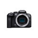 佳能（Canon）EOS R10 微單相機(jī) 4K Vlog視頻直播輕量化家用旅游照相機(jī)2420萬(wàn)像素高速連拍WIFI無(wú)線傳輸全新港版 R10 （單機(jī)身無(wú)鏡頭） 標(biāo)配