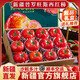 梓樂果正宗新疆普羅旺斯西紅柿沙瓤自然熟番茄現(xiàn)摘新鮮孕婦水果當(dāng)季整箱 5斤 12-15個【中果 家庭裝】