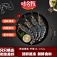 海鮮蝦類巨型超大蝦黑虎蝦生鮮大蝦海鮮鮮活急凍特大海蝦鮮蝦 中號15只裝 900g(凈重)  1盒暢想裝