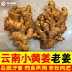 云南羅平新鮮小黃姜老姜生姜月子入藥泡腳煲湯炒菜調料 老小黃姜 2斤 【家庭炒菜】