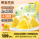 榴蓮西施榴蓮冰粽 水晶粽子 高端團(tuán)購送禮端午節(jié)禮盒冰皮 40%榴蓮果肉甜粽 【超值裝】蘇丹王冰粽40g*10枚