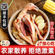 頤鄉(xiāng)情新鮮散養(yǎng)農(nóng)家現(xiàn)殺鴿子肉生鮮鴿子乳鴿老鴿子 煲湯孕婦滋補(bǔ)鴿子湯 散養(yǎng)乳鴿3只(凈重7兩1只)+人參包 【企業(yè)采購 團(tuán)購咨詢 可開發(fā)票】