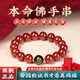 吉徹堂天然正品紅瑪瑙手串生肖本命佛珠轉(zhuǎn)運(yùn)珠手鏈男女士七夕情人節(jié)禮物 【龍蛇】普賢-護(hù)身符瑪瑙手串 【珠徑8mm】紅瑪瑙手串