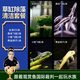 云峰海瑞黑殼蝦清潔蝦觀(guān)賞蝦 魚(yú)缸水族箱水草缸清潔除藻淡水 草缸瘋狂除藻套餐 共10條