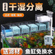 水寵世家魚缸凈水器三合一循環(huán)水泵烏龜缸過濾盒內(nèi)置頂部過濾水上置滴流盒 3盒濾倉長24.2cm(可內(nèi)掛和外掛)+5W水泵
