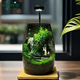 苔蘚微景觀辦公室diy桌面擺件禮物創(chuàng)意造景生態(tài)瓶室內(nèi)綠植盆栽 云海間+木質(zhì)燈座