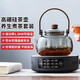 茶沿煮茶壺電陶爐煮茶器燒水壺養(yǎng)身壺套裝泡茶爐家用功夫茶具套裝