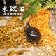 派樂特烏龜?shù)咨程烊霍~缸造景底砂水族箱造景裝飾原石鋪面水培木紋石1kg