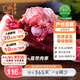 嘉平月藏香豬林芝放牧藏香豬精選黑豬肉 散養(yǎng)土豬 新鮮原生態(tài) 源頭直發(fā) 精選臻品筒骨 【共5斤】1斤*5