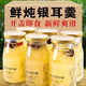 亞多琳鮮燉銀耳羹198克6瓶裝紅棗枸杞古田孕婦即食白木耳罐頭批發(fā)商用 鮮燉銀耳[198ml*12瓶]