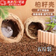 智宙柏籽殼墊料蘆丁雞除臭發(fā)酵床透氣干爽寵物蘆丁雞飼養(yǎng)箱發(fā)酵床墊料 柏籽殼墊料（五斤裝）