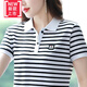 美博鳥（MEIBONIAO）【特價(jià)撿漏】品牌輕奢高檔帶領(lǐng)t恤女品質(zhì)媽媽翻領(lǐng)短袖T恤女夏季新 326白色條 L X  建議115-130斤穿