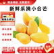 閩域?qū)r海南小臺(tái)芒果新鮮采摘當(dāng)季熱帶水果小臺(tái)芒現(xiàn)摘現(xiàn)發(fā)時(shí)令小臺(tái)芒 凈重8.5-9斤【單果50-70g】 -多規(guī)格可選