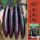 壽禾 長(cháng)茄子種子苗紫皮春季菜園種植菜種籽 濰豐黑豹2號長(cháng)茄種子120粒