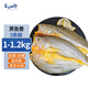 賣魚七郎 寧德醇香黃魚鲞三去開背黃花魚凈重2斤共3條免殺即烹大黃魚 魚類