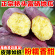天涯尋鮮正宗海南澄邁橋頭富硒地瓜 新鮮板栗紅薯 黃心粉糯番薯 海南特產 3斤 長果中果 【店家推薦】