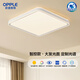 歐普（OPPLE）吸頂燈智控調光LED照明燈具全光譜智慧光方臥品見4白包安裝