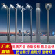 景觀燈柱7字燈太陽(yáng)能庭院燈六角燈廣場(chǎng)照明燈中華玉蘭燈6米7字燈 探頭7字燈3-6米定制