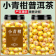 寶椿堂小青柑普洱茶特產(chǎn)正宗小柑橘陳皮茶葉散裝新會桔普泡茶泡水喝批發(fā) 【大罐】【2罐】小青柑共500克