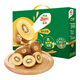 佳沛（zespri）佳沛奇異果新西蘭進(jìn)口陽(yáng)光金果黃心獼猴桃節(jié)日送禮 【禮盒】12顆特大果約110-130g 【JD順豐-送貨上門(mén)】