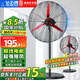 鉆石牌（DIAMOND）工業(yè)風(fēng)扇電風(fēng)扇落地扇大風(fēng)力強力牛角扇大功率吹除甲醛壁扇大風(fēng)扇工廠(chǎng)車(chē)間搖頭風(fēng)扇 650紅鋁葉落地扇【銅線(xiàn)電機2.5米線(xiàn)】
