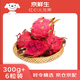 京鮮生 紅心火龍果大果6粒裝 單果300g 凈重3.6斤 生鮮水果